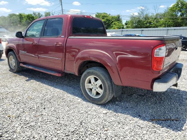 5TBET34116S503715 - 2006 TOYOTA TUNDRA DOUBLE CAB SR5 MAROON photo 2