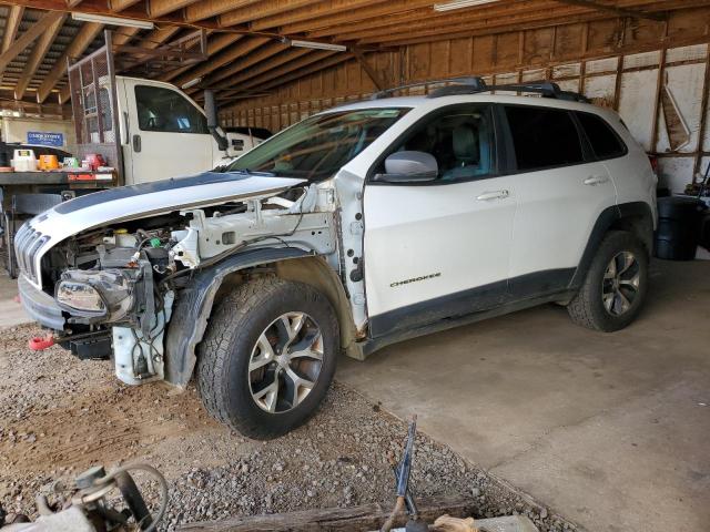 1C4PJMBB2JD569170 - 2018 JEEP CHEROKEE TRAILHAWK WHITE photo 1