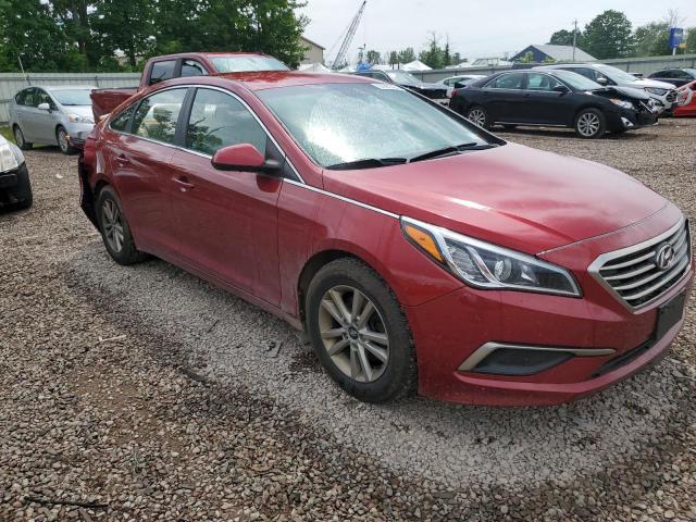 5NPE24AF9GH310056 - 2016 HYUNDAI SONATA SE RED photo 4