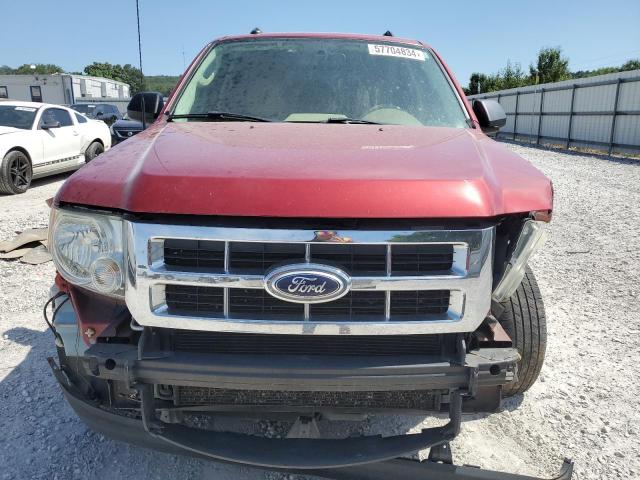 1FMCU0D72CKC81568 - 2012 FORD ESCAPE XLT RED photo 5