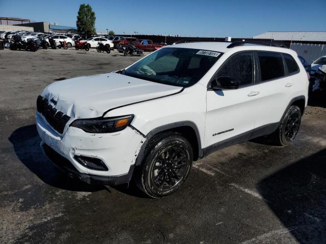 1C4PJMMB6PD112299 - 2023 JEEP CHEROKEE ALTITUDE LUX WHITE photo 1