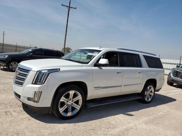 1GYS4KKJ0LR171291 - 2020 CADILLAC ESCALADE ESV PLATINUM Ақ фото 1