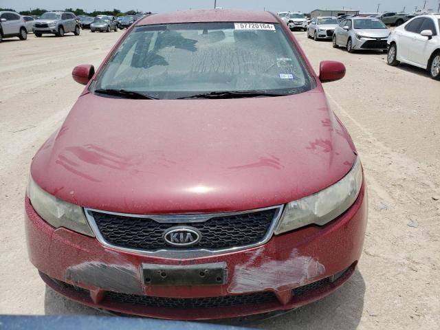 KNAFU4A25D5669716 - 2013 KIA FORTE EX RED photo 5