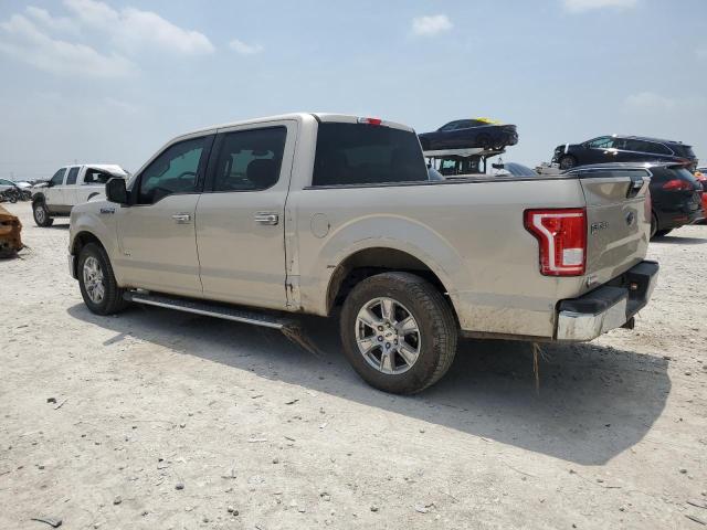 1FTEW1CP5HKC70182 - 2017 FORD F150 SUPERCREW TAN photo 2