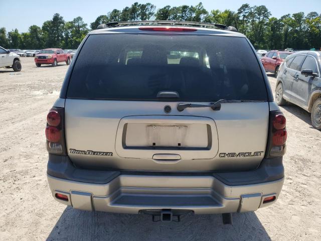 1GNDS13S222455798 - 2002 CHEVROLET TRAILBLAZE TAN photo 6