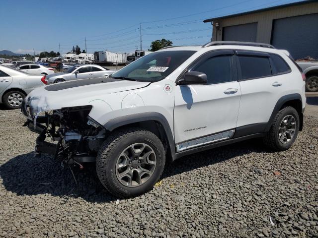 1C4PJMBX5MD213554 - 2021 JEEP CHEROKEE TRAILHAWK WHITE photo 1