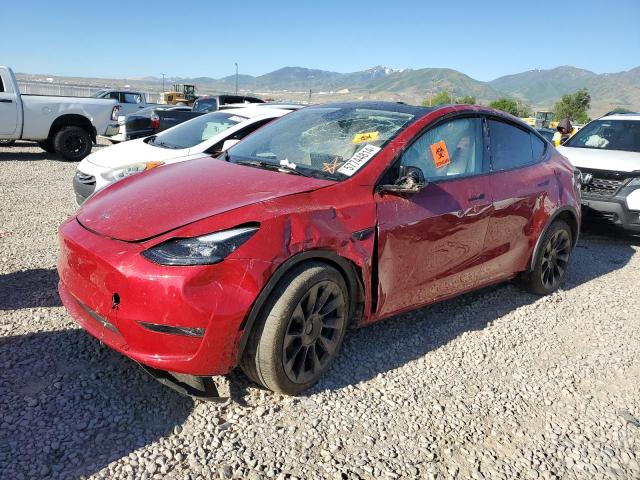 2023 TESLA MODEL Y, 