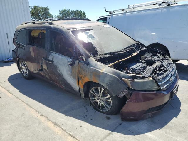 5FNRL5H69BB075949 - 2011 HONDA ODYSSEY EXL 勃艮第红 照片 4