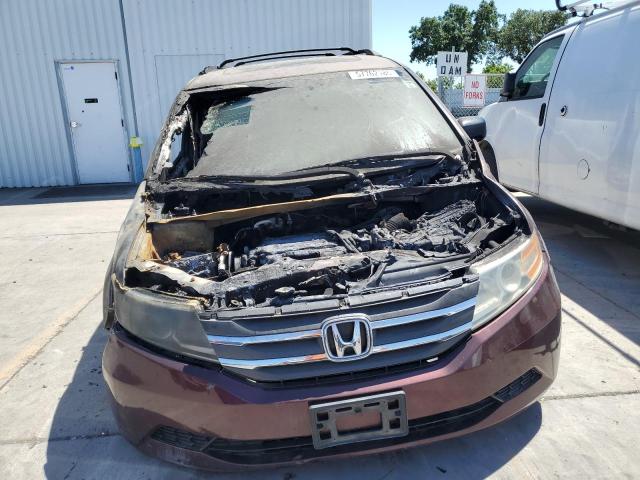 5FNRL5H69BB075949 - 2011 HONDA ODYSSEY EXL 勃艮第红 照片 5