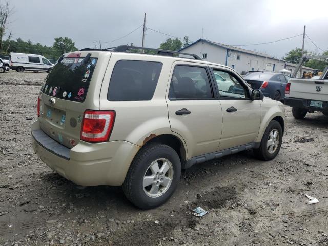 1FMCU9D7XAKC16226 - 2010 FORD ESCAPE XLT GOLD photo 3