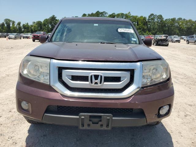 5FNYF3H62BB047613 - 2011 HONDA PILOT EXL BURGUNDY photo 5