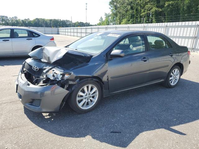 2010 TOYOTA COROLLA BASE, null