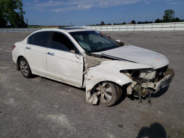 5KBCP3F83AB011599 - 2010 HONDA ACCORD EXL WHITE photo 4