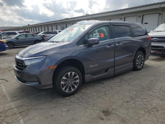 2024 HONDA ODYSSEY EXL, 