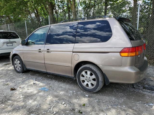 5FNRL18083B156155 - 2003 HONDA ODYSSEY EXL TAN photo 2