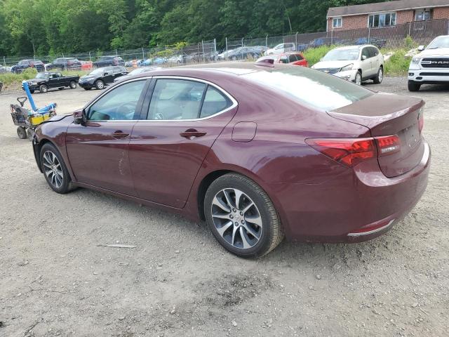 19UUB1F59FA010664 - 2015 ACURA TLX TECH BURGUNDY photo 2