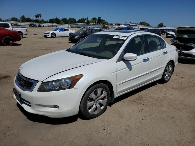 1HGCP36828A006543 - 2008 HONDA ACCORD EXL WHITE photo 1