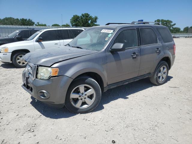 2010 FORD ESCAPE XLT, null