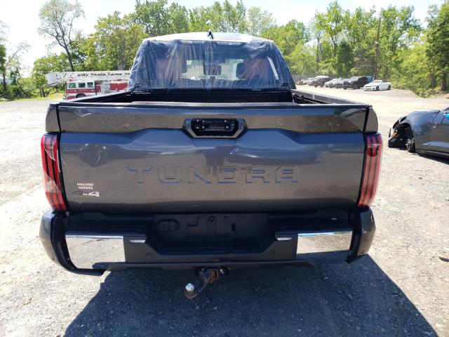 5TFMA5DBXNX051060 - 2022 TOYOTA TUNDRA CREWMAX PLATINUM GRAY photo 6