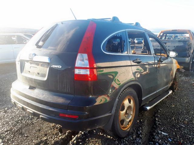 5J6RE4H79BL811423 - 2011 HONDA CR-V EXL  photo 4