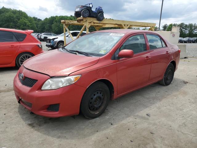2010 TOYOTA COROLLA BASE, null