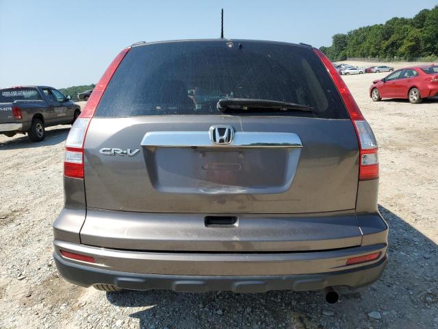 5J6RE3H73AL023679 - 2010 HONDA CR-V EXL GRAY photo 6