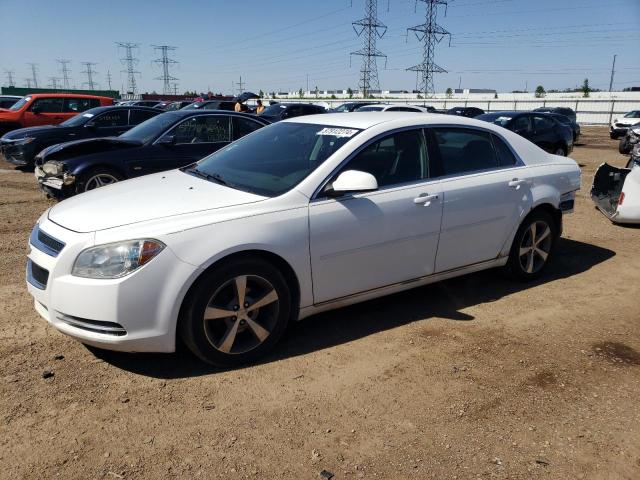 1G1ZC5E14BF278129 - 2011 CHEVROLET MALIBU 1LT 白色 照片 1