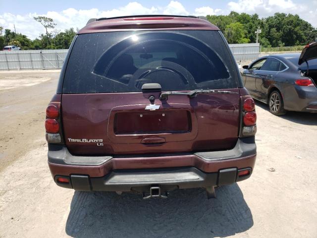 1GNES16S266103500 - 2006 CHEVROLET TRAILBLAZE EXT LS BURGUNDY photo 6