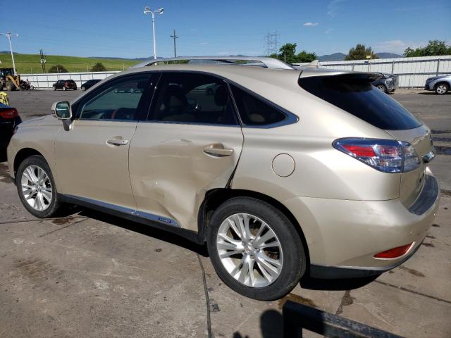 JTJBC1BA6B2038378 - 2011 LEXUS RX 450 GOLD photo 2