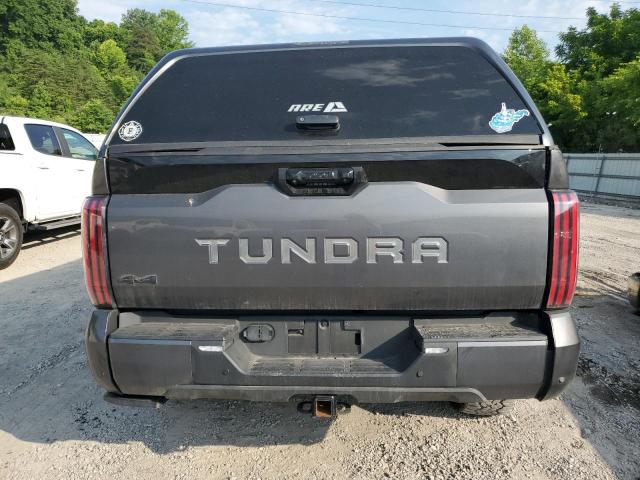5TFNC5DB1PX020040 - 2023 TOYOTA TUNDRA CREWMAX PLATINUM 灰色 照片 6