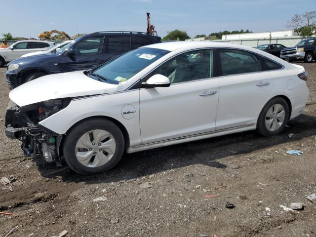 KMHE54L26HA060023 - 2017 HYUNDAI SONATA PLUG-IN HYBRID WHITE photo 1