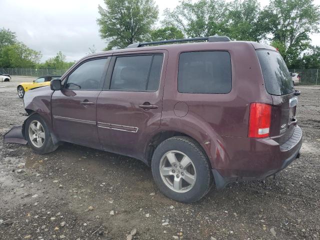 5FNYF4H67AB021366 - 2010 HONDA PILOT EXL 紫色 照片 2