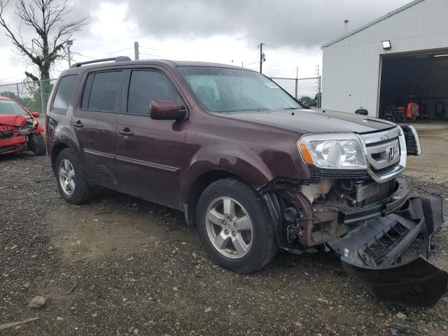 5FNYF4H67AB021366 - 2010 HONDA PILOT EXL 紫色 照片 4