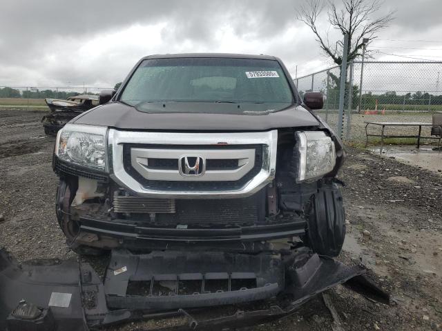 5FNYF4H67AB021366 - 2010 HONDA PILOT EXL 紫色 照片 5