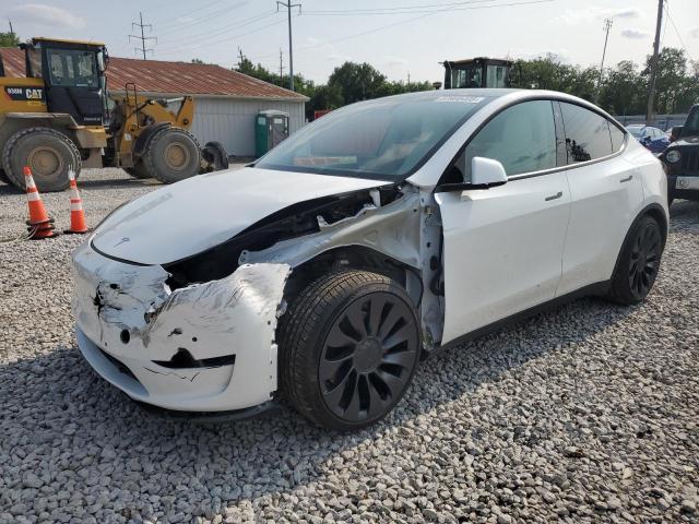 2022 TESLA MODEL Y, null