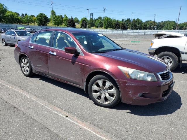 1HGCP36889A051665 - 2009 HONDA ACCORD EXL RED photo 4