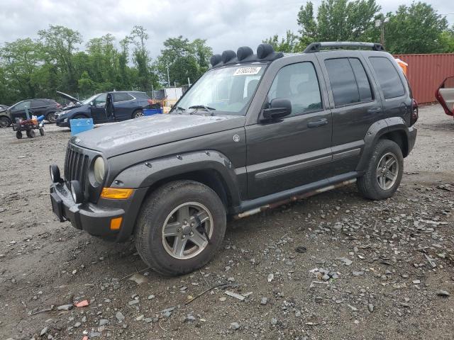 1J4GL38K66W130362 - 2006 JEEP LIBERTY RENEGADE 灰色 照片 1