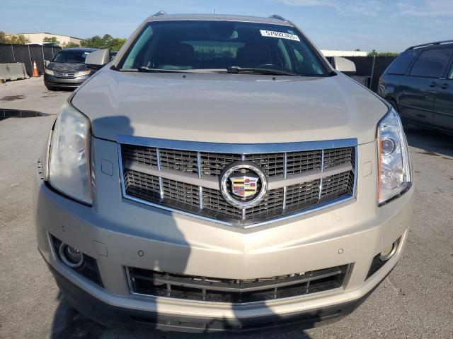 3GYFNBE31CS575922 - 2012 CADILLAC SRX PERFORMANCE COLLECTION Beige photo 5