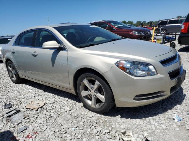 1G1ZC5E1XBF330220 - 2011 CHEVROLET MALIBU 1LT GOLD photo 4