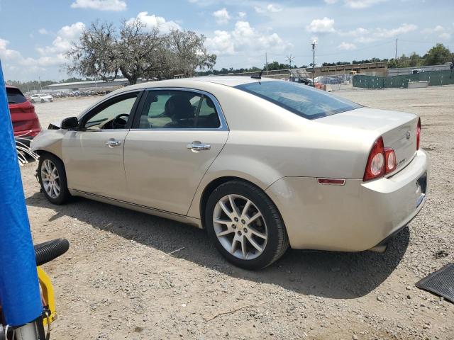 1G1ZE5EB3AF156265 - 2010 CHEVROLET MALIBU LTZ ბეჟი ფოტო 2