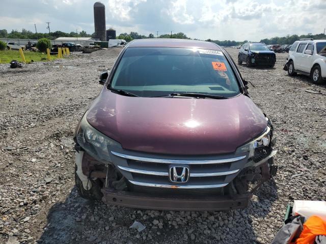 5J6RM3H31EL031317 - 2014 HONDA CR-V LX BURGUNDY photo 5