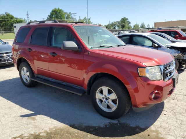 1FMCU0D79CKB03978 - 2012 FORD ESCAPE XLT RED photo 4