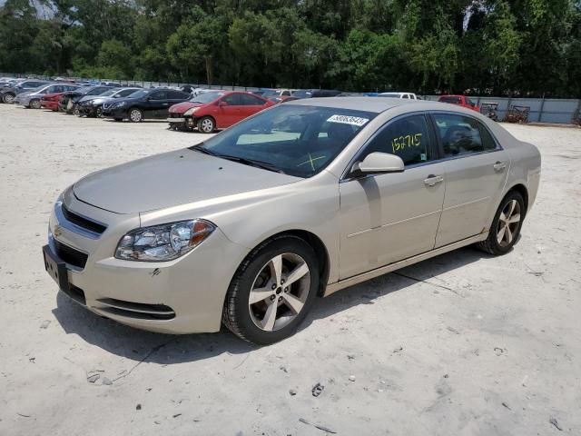 1G1ZC5E13BF112930 - 2011 CHEVROLET MALIBU 1LT 金色 照片 1