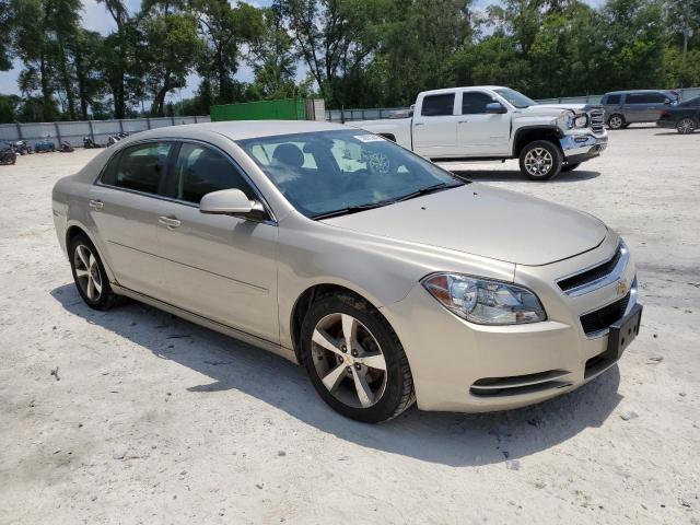 1G1ZC5E13BF112930 - 2011 CHEVROLET MALIBU 1LT 金色 照片 4
