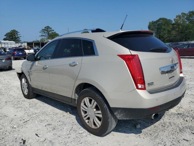 3GYFNAEY7BS567747 - 2011 CADILLAC SRX LUXURY COLLECTION GOLD photo 2