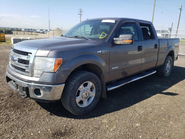 2014 FORD F150 SUPERCREW, 