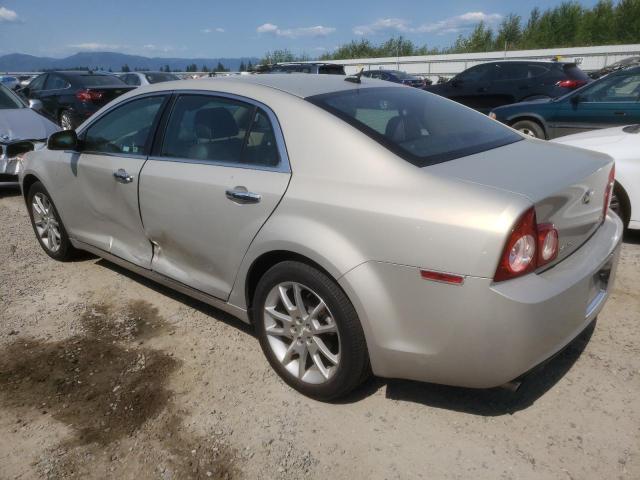 1G1ZK57739F120296 - 2009 CHEVROLET MALIBU LTZ Bej foto 2