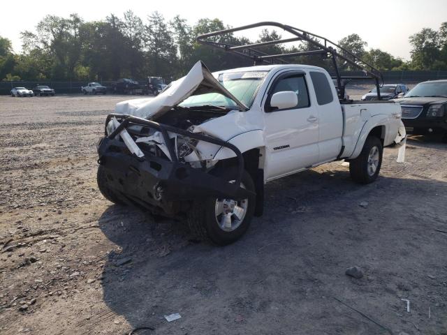 5TEUU4ENXAZ743347 - 2010 TOYOTA TACOMA ACCESS CAB თეთრი ფოტო 1