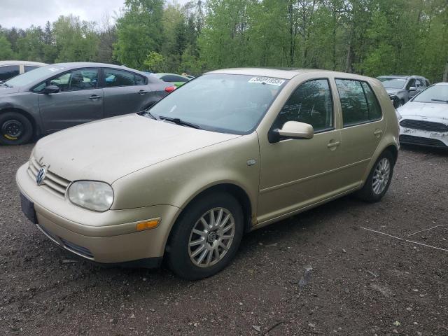 2004 VOLKSWAGEN GOLF GLS, null