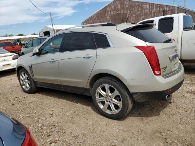 3GYFNHE35DS583557 - 2013 CADILLAC SRX PERFORMANCE COLLECTION Қоңыр фото 2